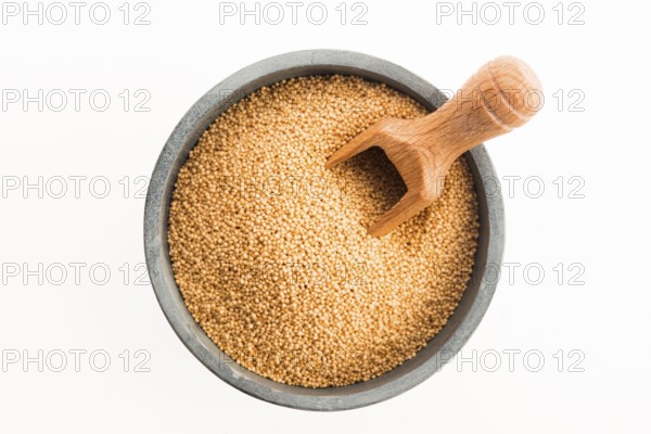 Amaranth seeds isolated on white