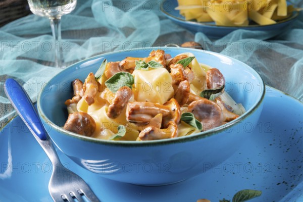 Pappardelle with cheese sauce and fresh chanterelles