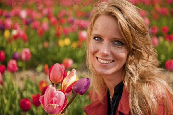 Young blond woman is picking flowers in the Dutch tulips fields
