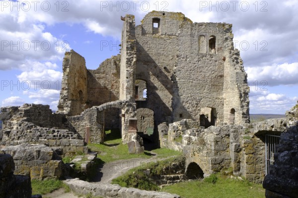 Homburg castle ruins and Homburg ruins nature reserve with the largest contiguous dry grassland in Germany and steppe heath forest on Hohhafter Berg near Gössenheim and Karsbach, Lower Franconia, Franconia, Bavaria, Germany, Europe