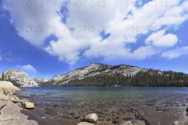 Gorgeous American nature. The majestic Lake Tioga in the famous Yosemite National Park