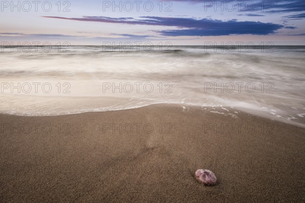 Evenings on the Baltic coast