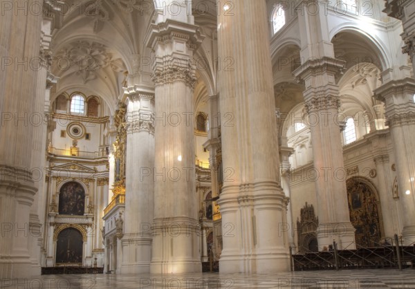 Nave of Granada Cathedral, Andalusia, Spain Granada, Spain, Europe