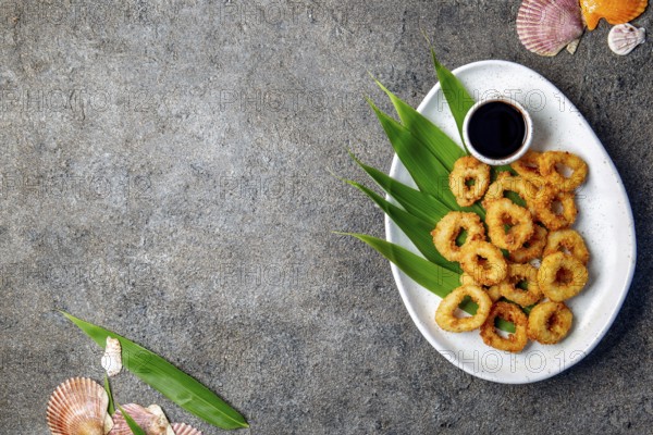 Food, Food, Fried squids rings on white plate decorated with tropical leaves, gray concrete background, top view