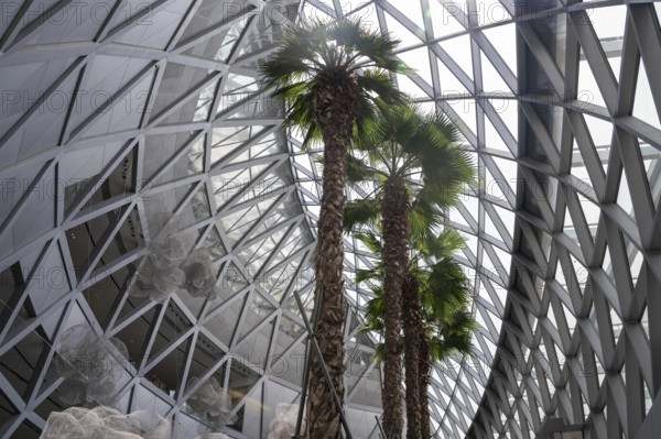 31.07.2023, Singapore, Republic of Singapore, Asia, Interior view of the modern Jewel Terminal with palm trees at Singapore Changi Airport. Jewel Changi is a nature-themed entertainment and retail complex surrounded by and connected to Changi Airport's T1, T2 and T3 passenger terminals, Asia