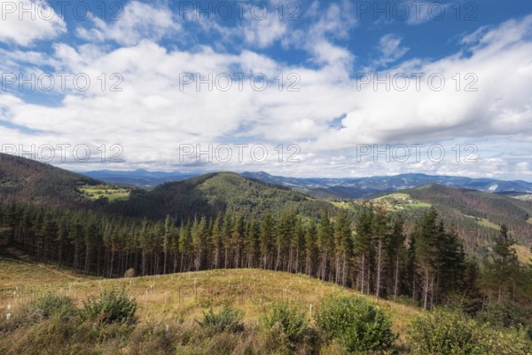 Vizcaya forest and mountain landscape, Basque country, Spain, Europe
