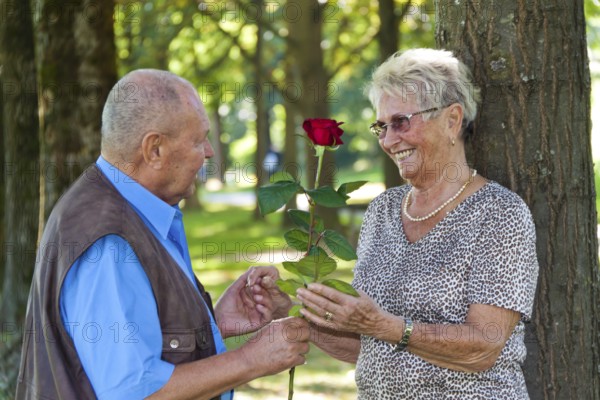 Elderly senior couple is in love. Man hands over a rose. Austria