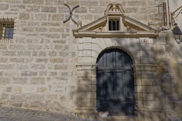 An old architectural stone wall with an ornate door casting shadows and a cat in the gentle warmth of the end of the day, Pézenas, Hérault, France, Europe