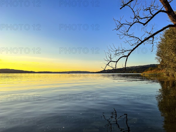 Calm lake at sunset with bare branches in the foreground and a wide horizon, Sempach, Lucerne, Switzerland, Europe