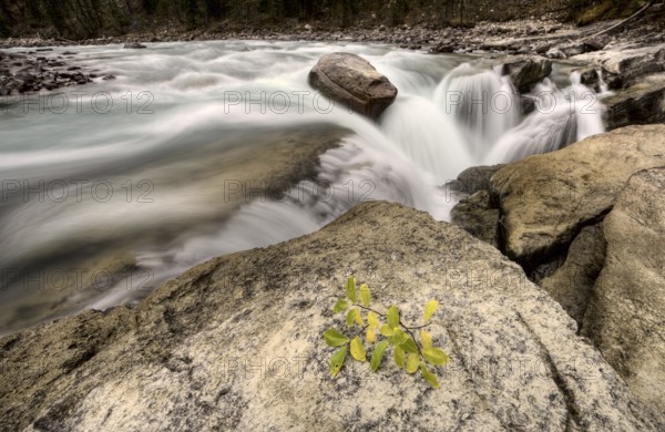 Sunwapta Waterfall Alberta Canada blurred water fall