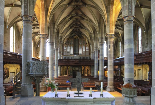 Interior of the Protestant parish church of St Michae with organ, Gothic hall church, Schwäbisch Hall. Baden-Württemberg. Germany