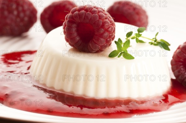 Vanilla panna cotta with berry sauce, lodz, poland