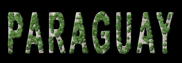 Paraguay Reforestation and Climate Message, Sustainable Green Typography, Green Agenda
