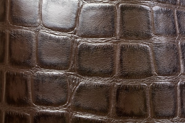 Crocodile or alligator skins brown background