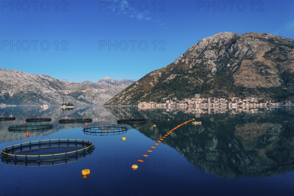 Fish farm in Montenegro. The farm for breeding and fish farming in the Bay of Kotor