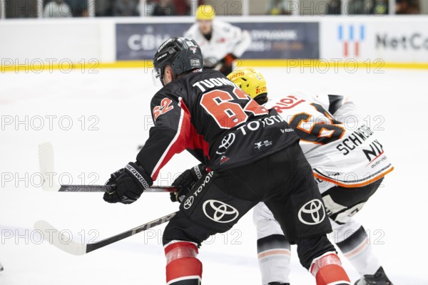 Parker Tuomie (Cologne Sharks, #62), Markus Schweiger (Löwen Frankfurt, #64), PENNY DEL, Test match Cologne Sharks- Löwen Frankfurt on 25.08.2024 at K2 in Cologne Germany .Photo: Laura Dick