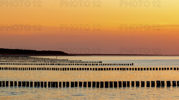 Zingst