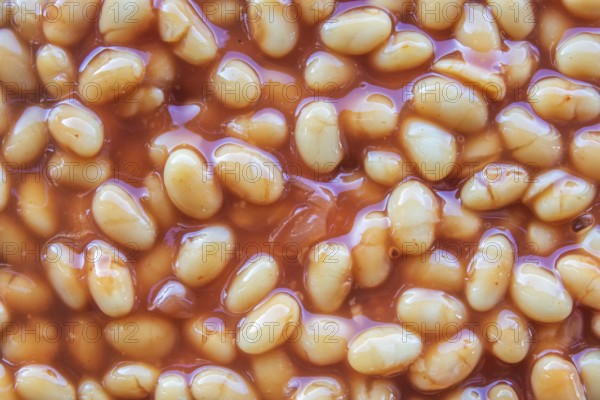 Abstract Background Texture Of Baked Beans In Tomato Sauce