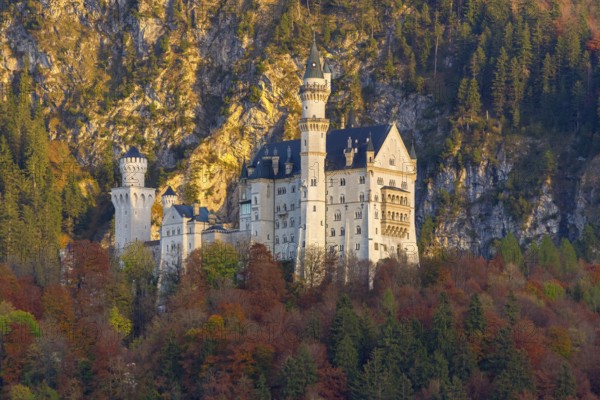 Detailed view of a fairytale castle, surrounded by colourful autumnal trees, Neuschwanstein, Schwangau, Ostallgäu, Allgäu, Swabia, Upper Bavaria, Bavaria, Germany, Europe