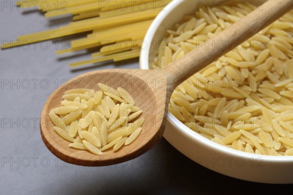 Semi di Orzo, Italian pasta in the form of barley grains, and spaghetti, pasta from Italy