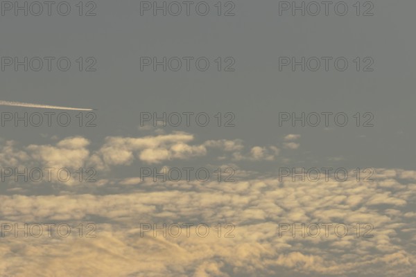 Stratocumulus white clouds in a blue sky with a jet aircraft with a vapor trail or contrail flying above, England, United Kingdom, Europe