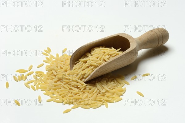 Semi di Orzo, Italian pasta variety in the form of barley grains, pasta from Italy