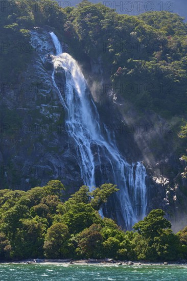 Waterfall cascades over a wooded slope and sprays fine spray into turquoise-coloured water, summer, Milford Sound, Te Anau, Fiordland National Park, South Island, New Zealand, Oceania
