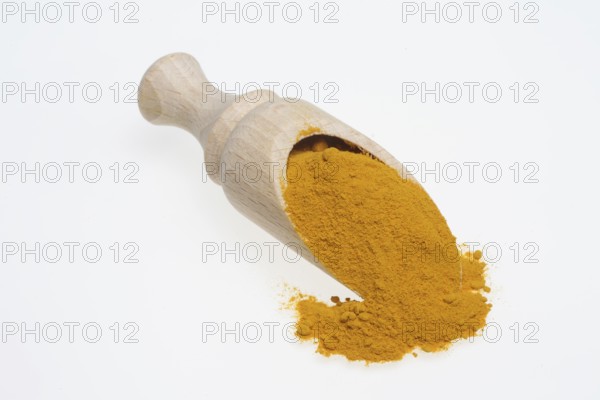 Turmeric (Curcuma longa) or curcume, yellow ginger, saffron root, turmeric, plant species of the ginger family, medicinal plant, dye plant and spice