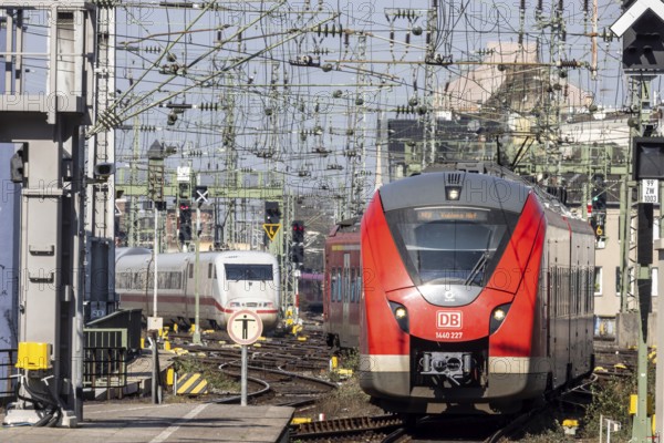 Central station with track apron, rails and overhead lines. ICE and regional train of Deutsche Bahn AG. Cologne, North Rhine-Westphalia, North Rhine-Westphalia, Germany, Europe