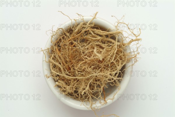 Vetiver, Chrysopogon zizanioides, Andropogon squarrosus, Andropogon muricatus, a sweet grass, is used as incense and as a fixative in perfumery. In naturopathy, vetiver is used for skin problems and nervous tension