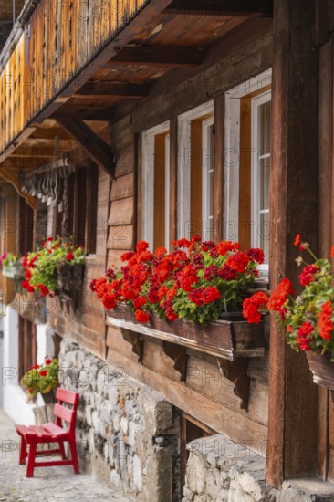 Wooden house with red geraniums in flower boxes in front of the windows, Lake Brienz, Brienz, Switzerland, Europe