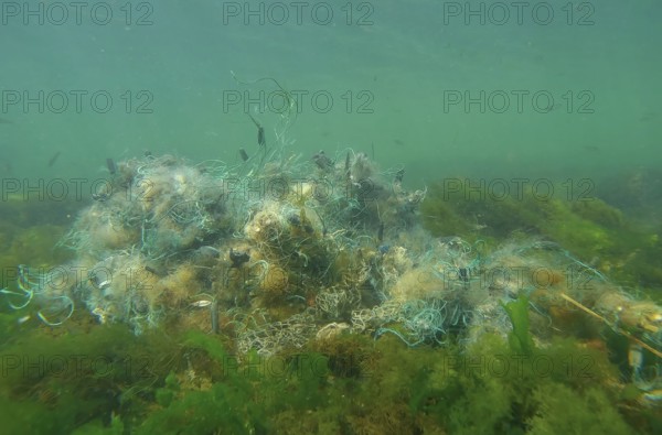 Lost fishing net lies on seabed in green algae Ulva on bright sunny day in sun glare in Black sea, Ghost gear pollution of Seas and Ocean, Black Sea, Odessa, Ukraine, Europe
