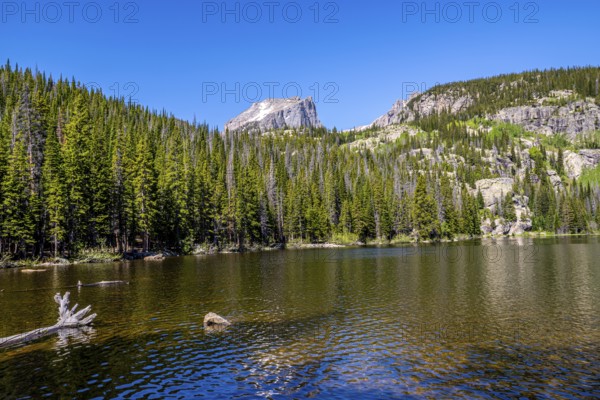 At the Bear lake in the National Park Rocky Mountains with blue sky in summertime, landscape format. At the Bear lake in the National Park Rocky Mountains with blue sky in summertime