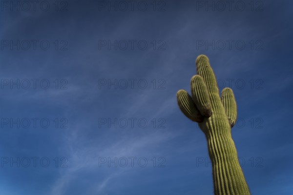 View of the mountains at Papago Park In Phoenix, Arizona