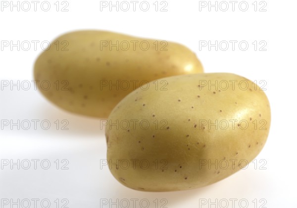 Mona Lisa Potato (Solanum tuberosum), Vegetables against White Background