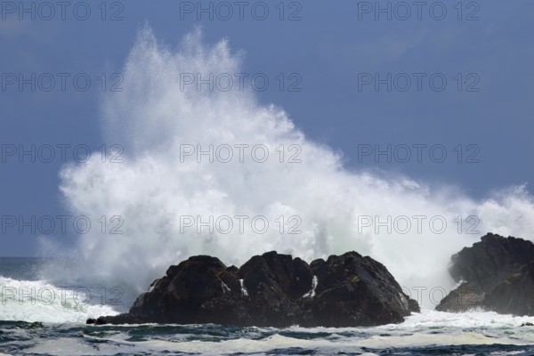 Sea coast, Chile, water, spray, splashes, South America