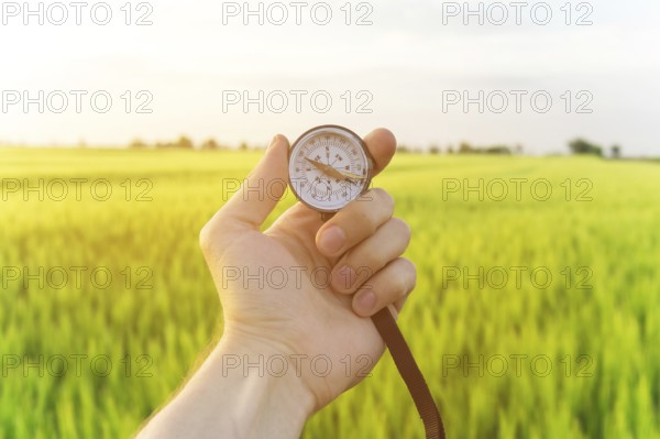 Finding a direction in nature on a wheat field. A man's hand holds a compass