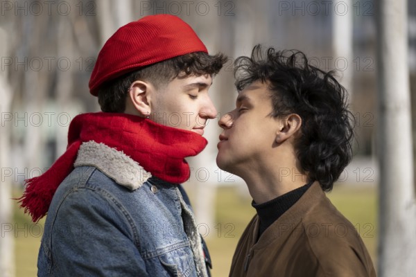Young gay couple about to kiss in a park