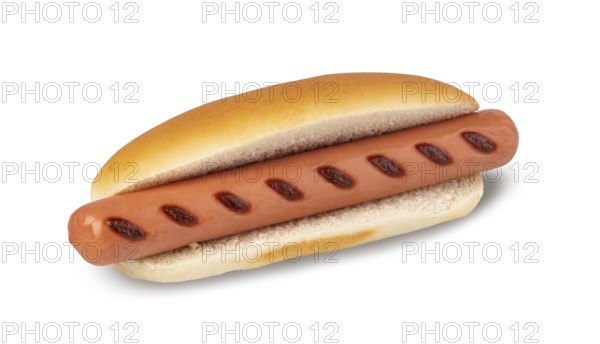 Hot dog isolated on white background