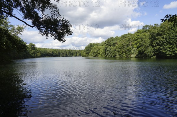 Krumme Lanke, Lake, Steglitz-Zehlendorf, Grunewald, Berlin, Germany, Europe