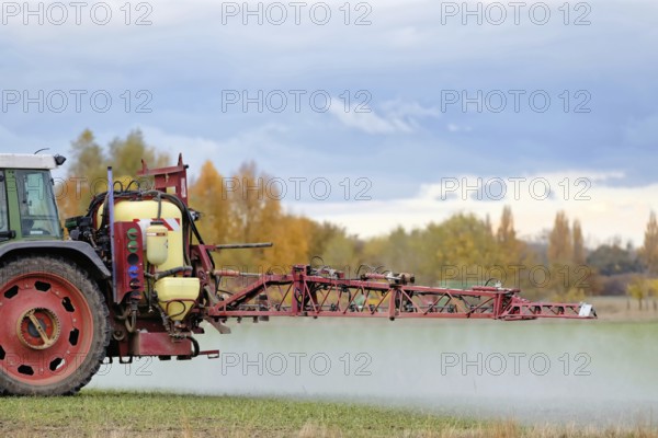 Spraying winter cereals