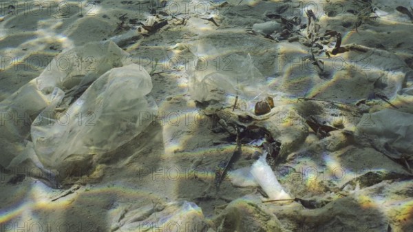 Plastic garbage lies on sandy-silty bottom of sea in shallow water on bright sunny day in sun glare. Seabed polluted with plastic and other debris, Red sea, Safaga, Egypt, Africa