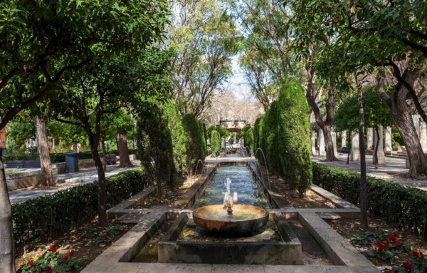S'Hort del Rei Park, Royal Garden, Palma de Majorca, Majorca, Balearic Islands, Spain, Europe