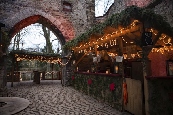 Thurn und Taxis Christmas Market, Advent Market, Regensburg, Bavaria, Germany, Europe