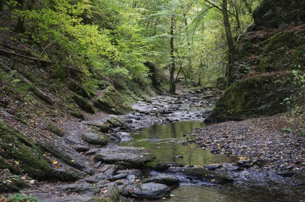 Hiking trail, Ehrbach valley, Hunsrück, near Brodenbach, Rhineland-Palatinate, Germany, Europe