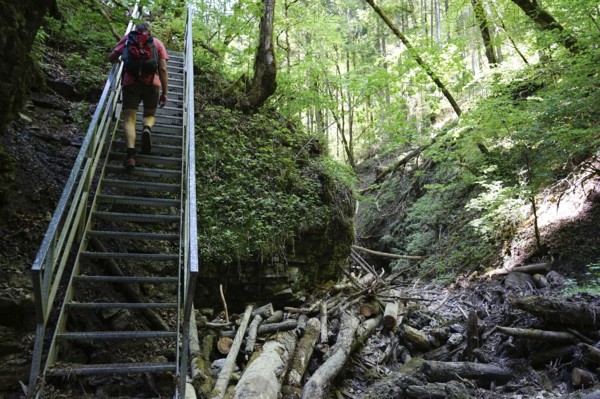 Hiker, steep stairs, narrow gorge, hiking trail, Tränkebach, Schluchtensteig, near Bachheim, southern Baar, Baden-Württemberg, Germany, Europe
