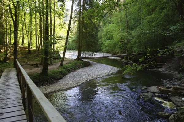 Hiking trail, wooden bridges over the Wutach, Wutach gorge between Bachheim and Wutachmühle, middle gorge in the main shell limestone, Schluchtensteig, southern Baar, Baden-Württemberg, Germany, Europe