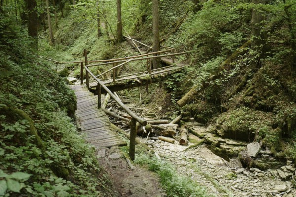 Bridge, narrow gorge, hiking trail, Tränkebach, Schluchtensteig, near Bachheim, southern Baar, Baden-Württemberg, Germany, Europe
