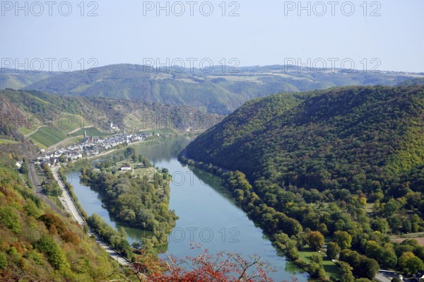View of Hatzenport, vineyards and Moselle, Moselsteig, terraced Moselle, Moselle valley, Eifel, Rhineland-Palatinate, Germany, Europe