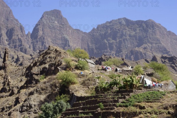 Farm and farm terrace on the hiking trail from Cha Alto Mira village to Cha de Morte, rocky landscape, western part of Santo Antao Island, Cape Verde Islands, Cape Verde, Africa